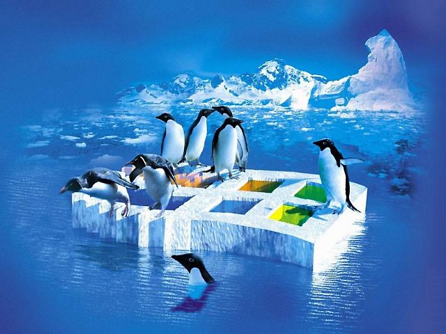 Cool - 3D Effects Wallpapers - 3.0 Wallpaper 800x600